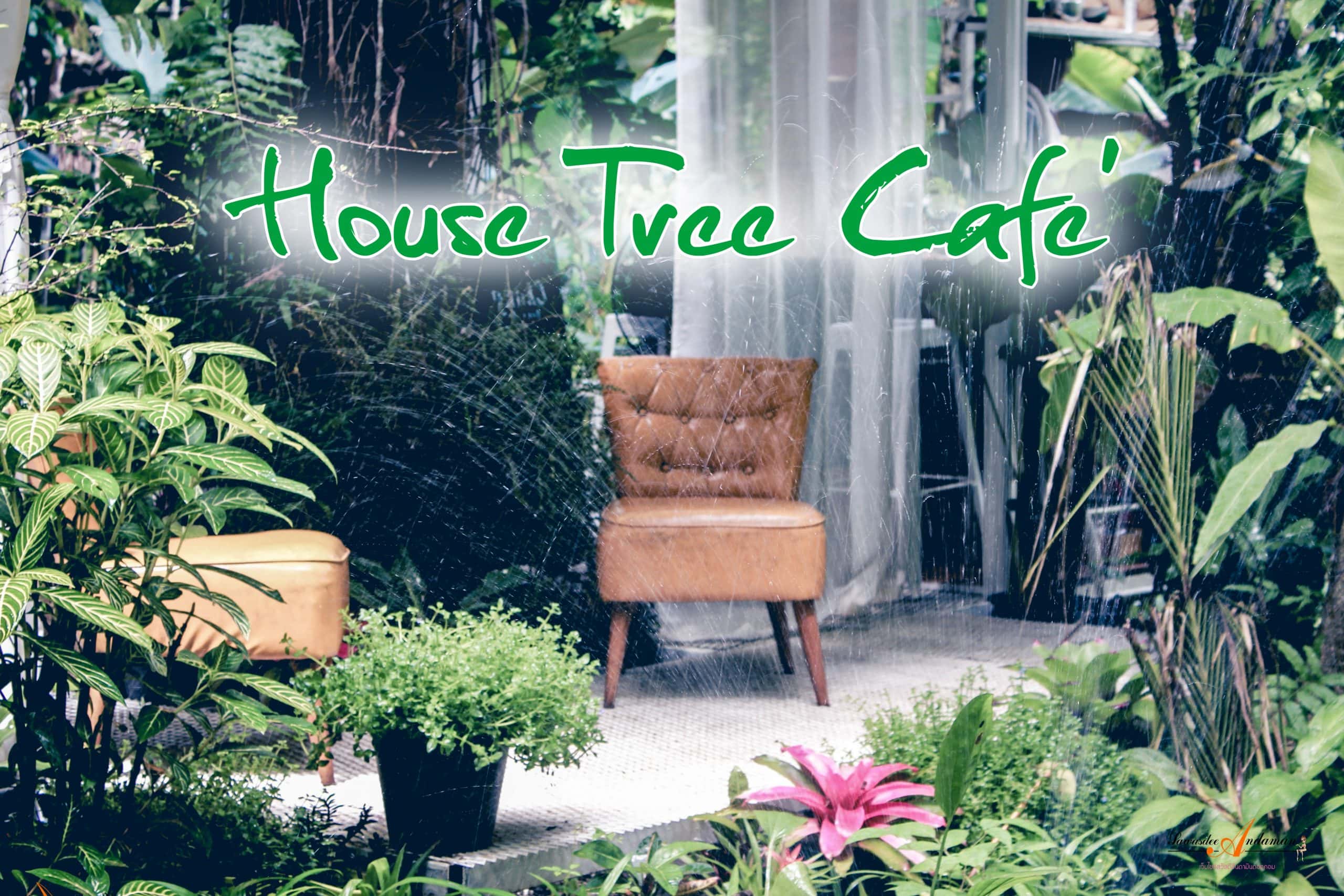 คาเฟ่ ร้านกาแฟ ในกระบี่ : บ้าน ต้นไม้