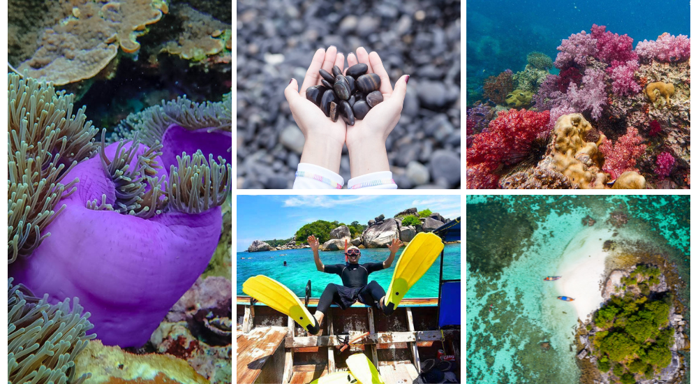 แพ็คเกจทัวร์ เกาะหลี เป๊ะ3วัน2คืน เกาะหลีเป๊ะ กรุ๊ปเหมาแบบส่วนตัว