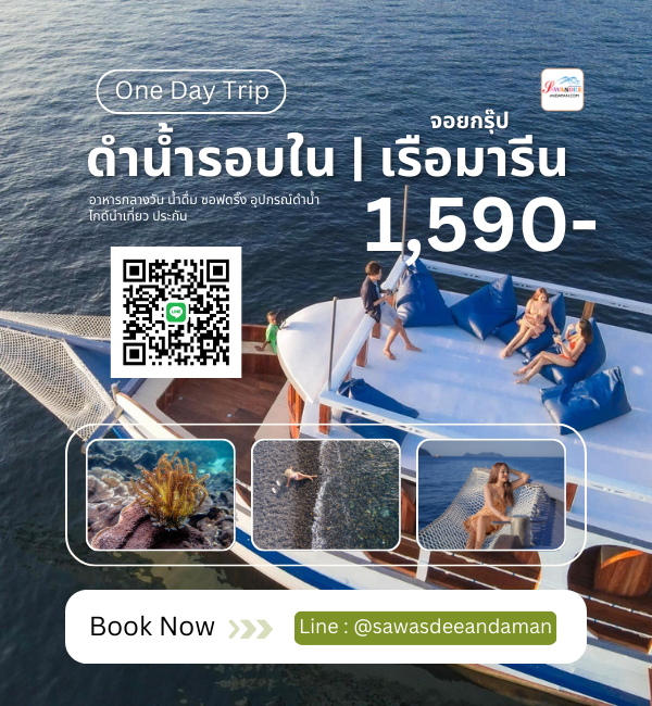 ทัวร์เกาะหลีเป๊ะ แพ็คเกจเที่ยวเกาะหลีเป๊ะ ทัวร์เกาะหลีเป๊ะรายวัน แพ็คเกจเกาะหลีเป๊ะ
