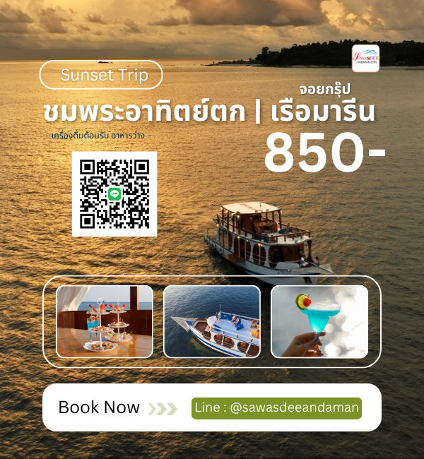 ทัวร์เกาะหลีเป๊ะ แพ็คเกจเที่ยวเกาะหลีเป๊ะ ทัวร์เกาะหลีเป๊ะรายวัน แพ็คเกจเกาะหลีเป๊ะ