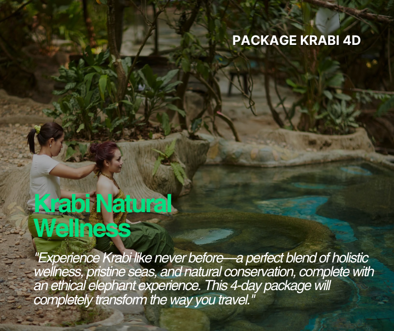 Package krabi wellness